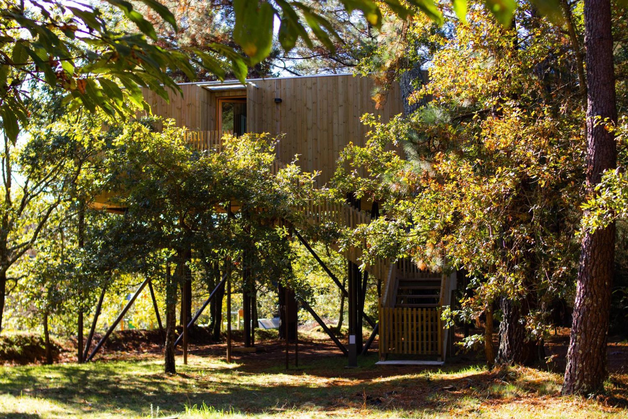 Holacamp Camino О-Пино Экстерьер фото